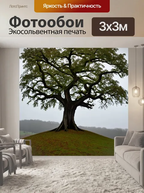 Фотообои англия: старый дуб, стоящий одиноко на вершине холма, с разрастающимися корнями и множеством мельчайших…