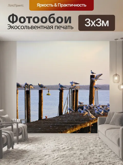 Фотообои Чайки