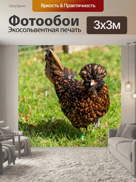 Фотообои Цыпленок на ферме