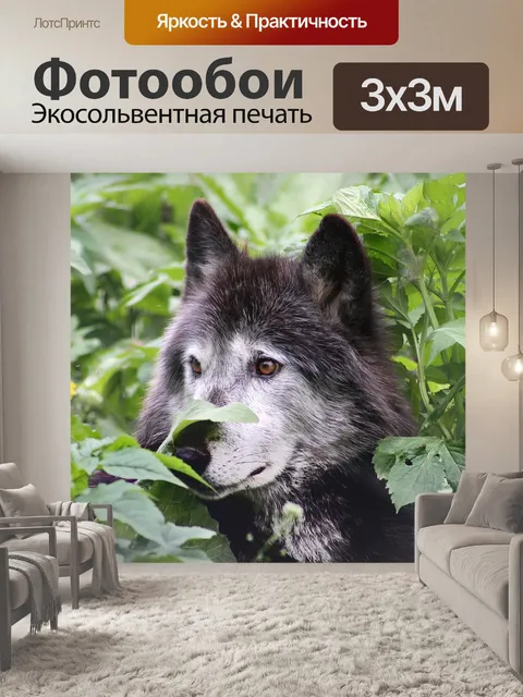 Фотообои Волк