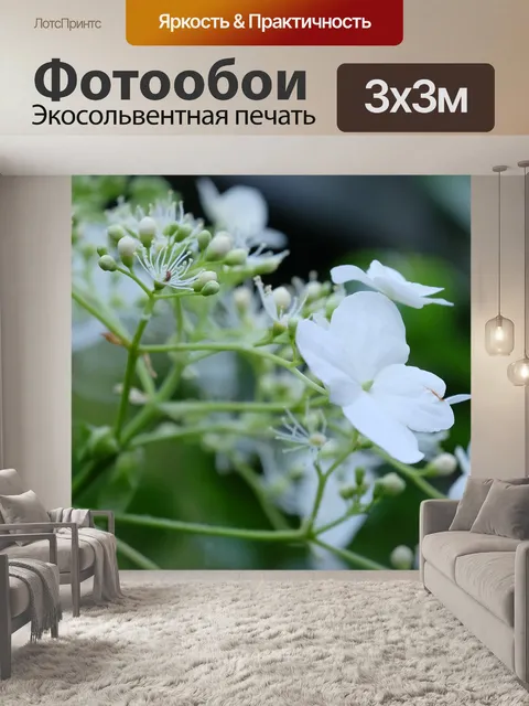 Фотообои Гортензия