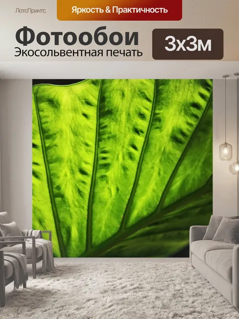 Фотообои близкий вид большого листа