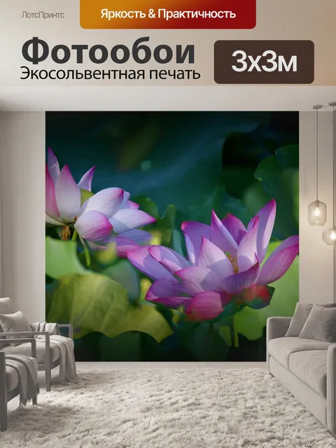 Фотообои лотос