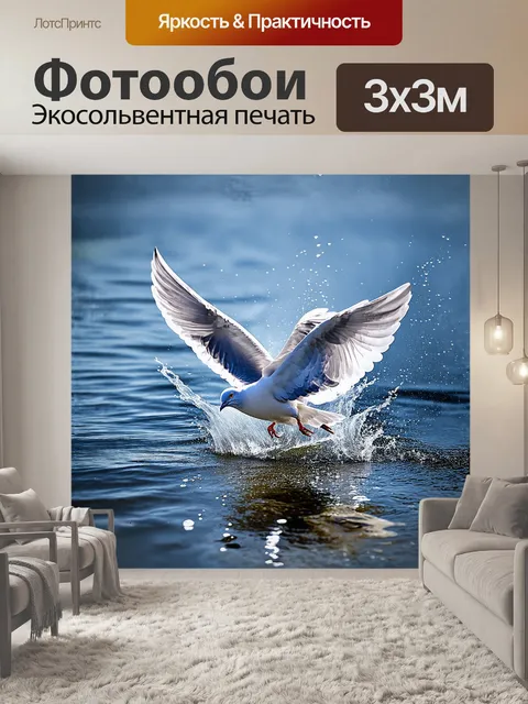 Фотообои красивая голубь, взлетающая с поверхности спокойного озера, разбрызгивает капли воды, сверкающие как…
