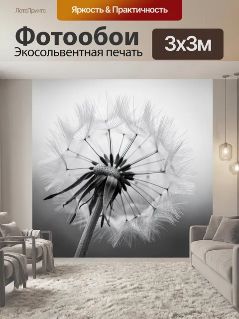 Фотообои Макро одуванчик в черно-белом