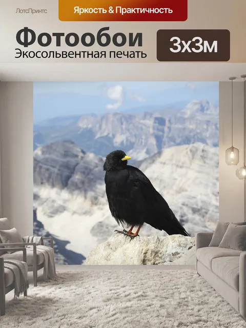Фотообои Птица