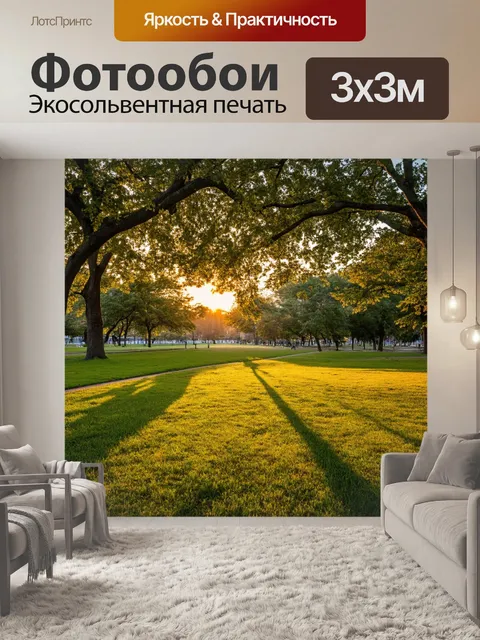 Фотообои закат в городском парке
