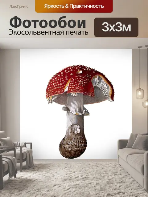 Фотообои Винтажное искусство Fly Agaric Mushroom