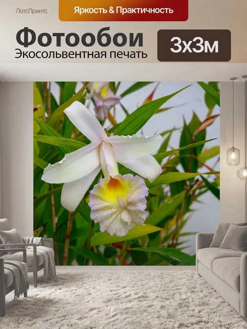 Фотообои Орхидея розовая