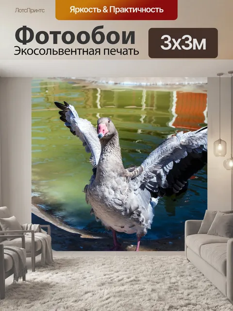 Фотообои Крылатый гусь