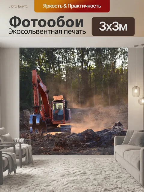 Фотообои Вырубка леса