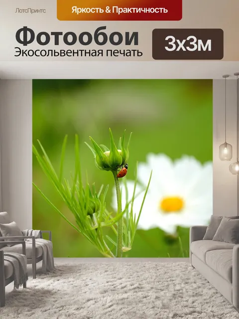 Фотообои Божья коровка