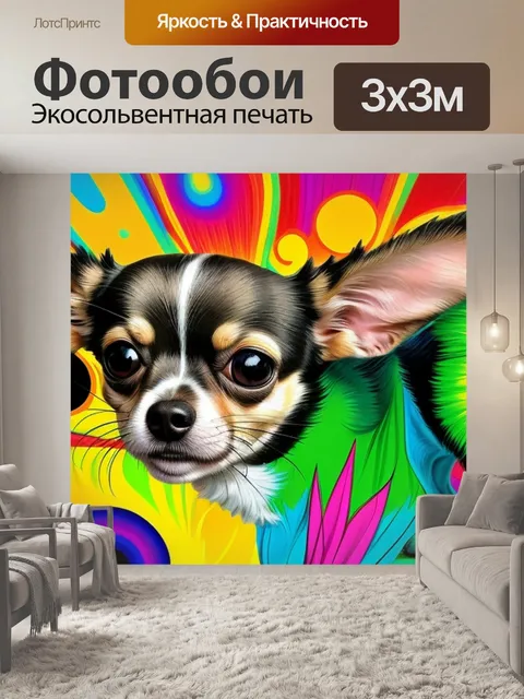 Фотообои с чихуахуа
