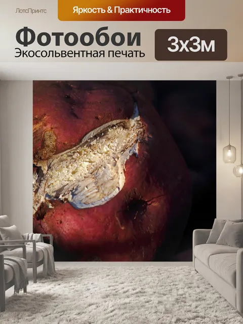 Фотообои поражение сырого сладкого картофеля