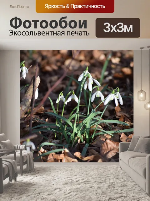 Фотообои Галантус