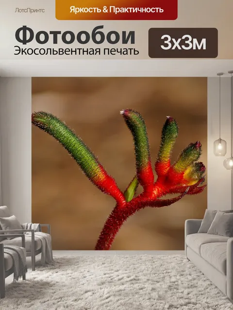 Фотообои Кенгуру лапа цветок