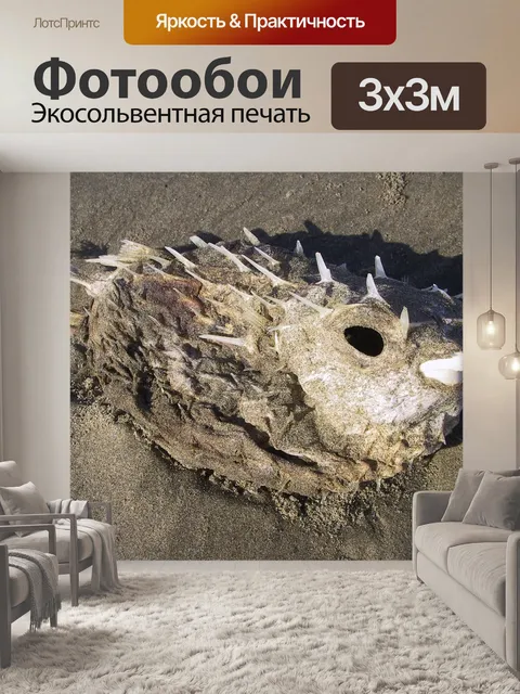 Фотообои Рыбы