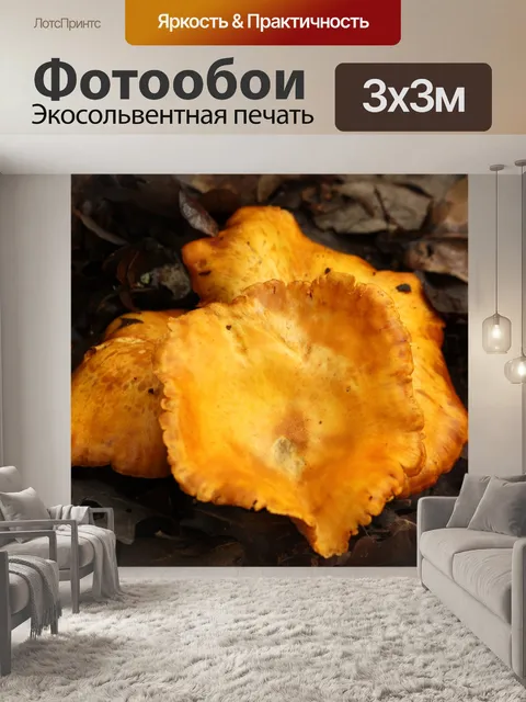 Фотообои Золотые грибы в коричневых листьях