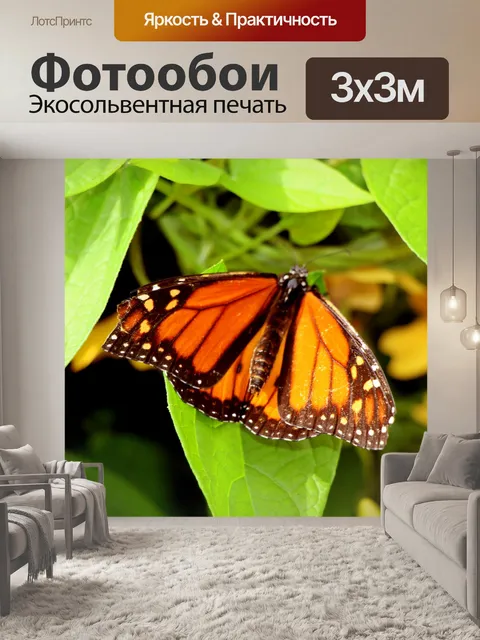 Фотообои Бабочка с рваными крыльями