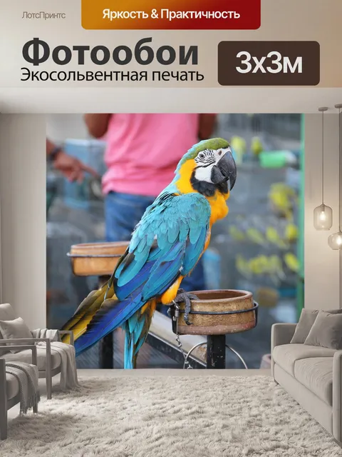 Фотообои Попугай