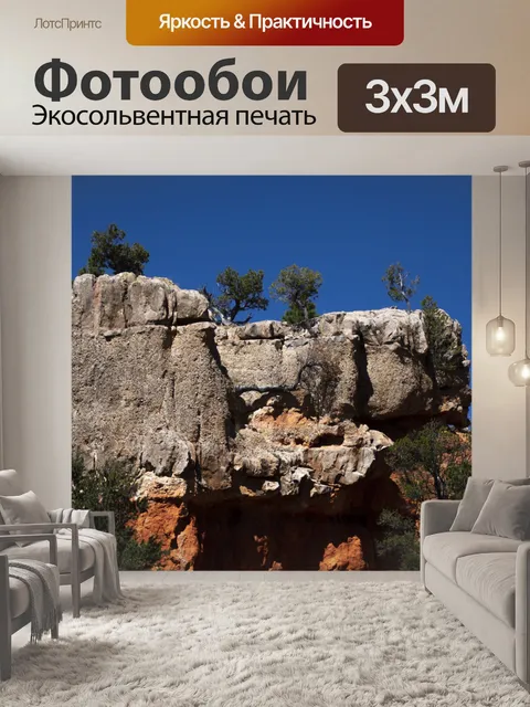 Фотообои Деревья на вершине горы Рок
