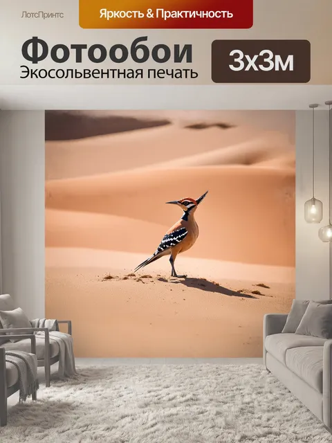Фотообои удод ярко выделяется на фоне песчаных дюн сахары