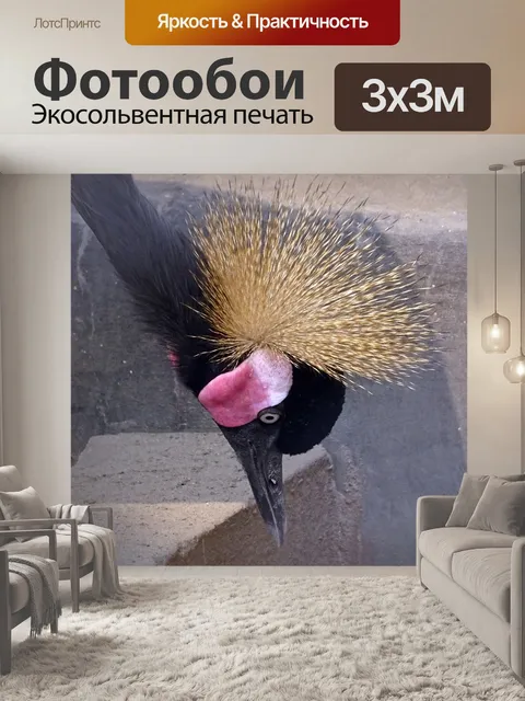 Фотообои Кран