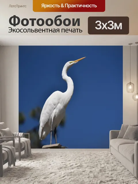 Фотообои Белая цапля