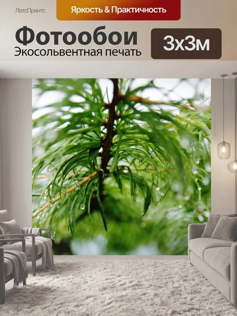 Фотообои Сосна