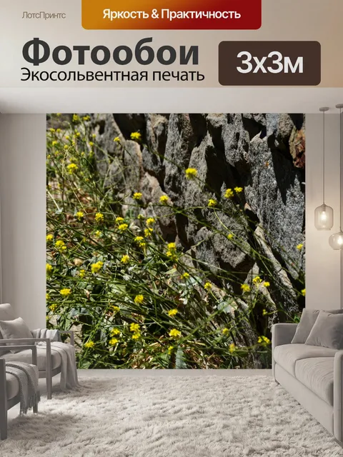 Фотообои Полевые цветы