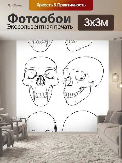 Фотообои Череп