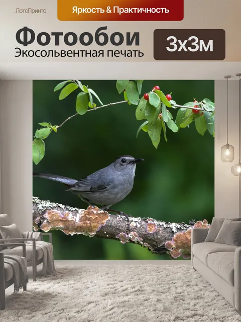 Фотообои Серый видно