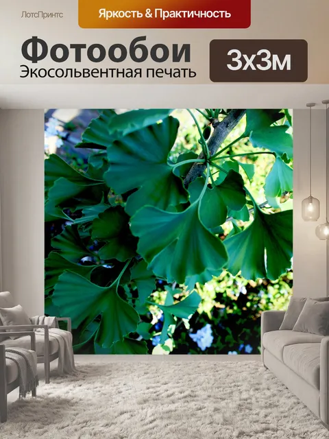 Фотообои Дерево гинкго билоба