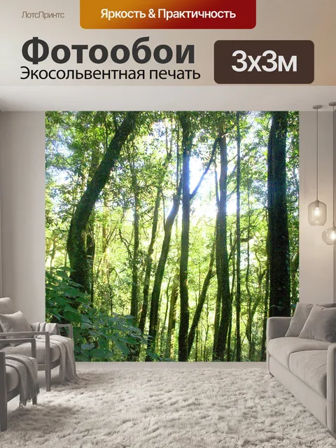 Фотообои Природа тропический лес дои Интанон наци