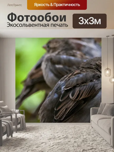 Фотообои Воробей