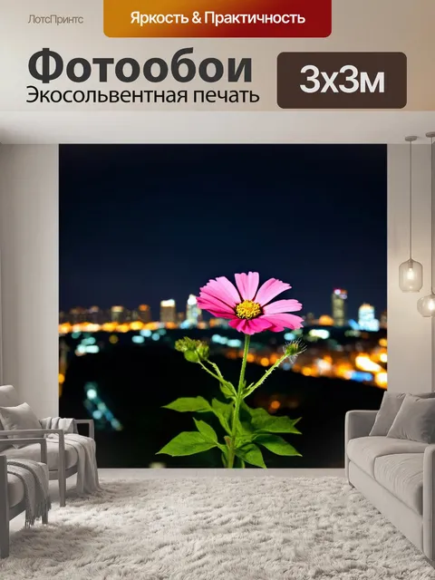 Фотообои темный фон с одним цветком, ярко раскрывшимся на фоне шумного города, олицетворяющим красоту и надежду