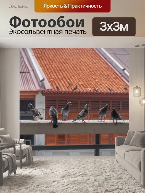 Фотообои Голуби