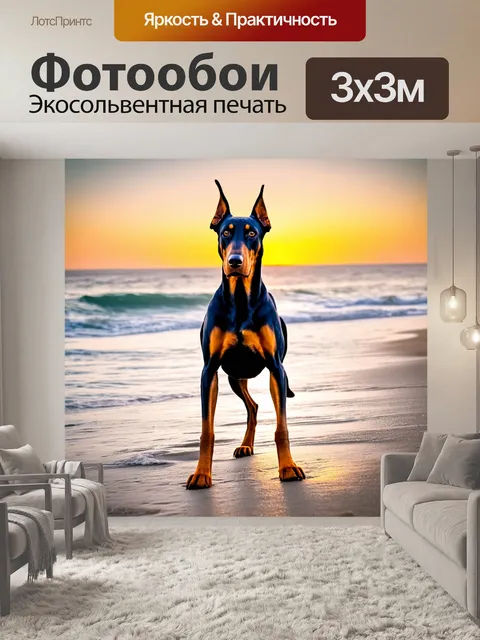 Фотообои доберман на пляже во время заката, играющий с мячом