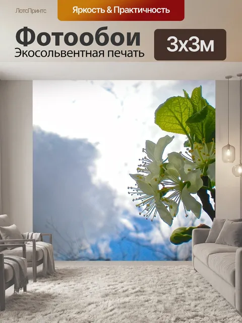 Фотообои Белый