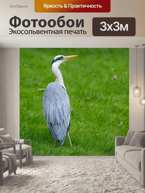 Фотообои Большая голубая цапля