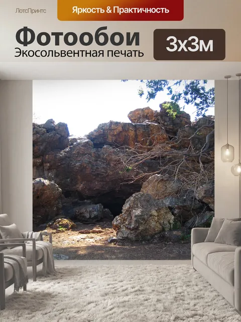 Фотообои Ветка дерева низко над скалами