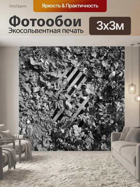 Фотообои Шторм Drain 1