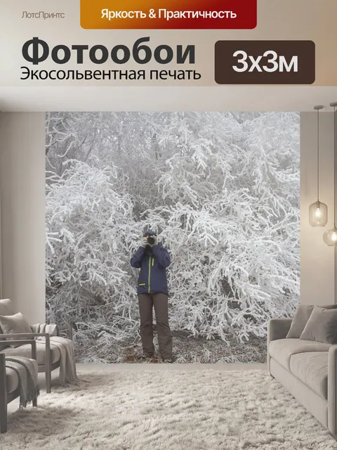 Фотообои Иней