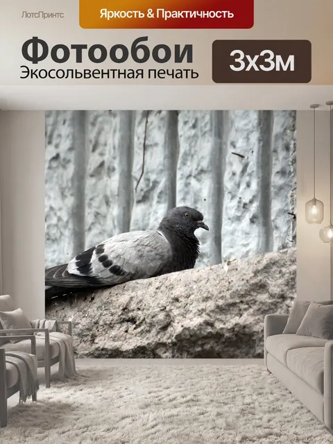 Фотообои Голубь