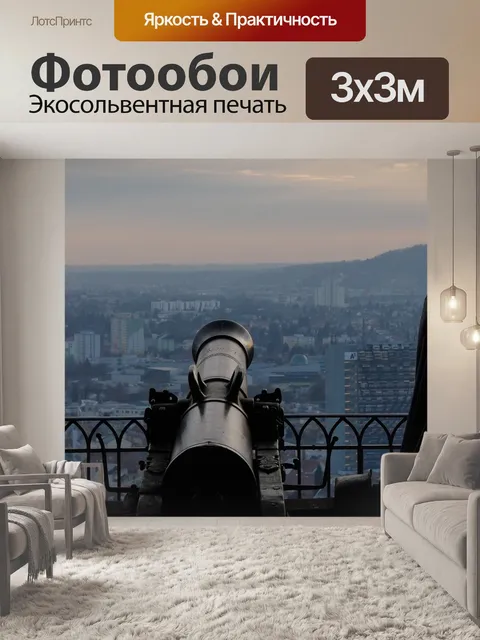 Фотообои Пушка