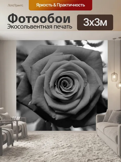 Фотообои Роза в черно-белом