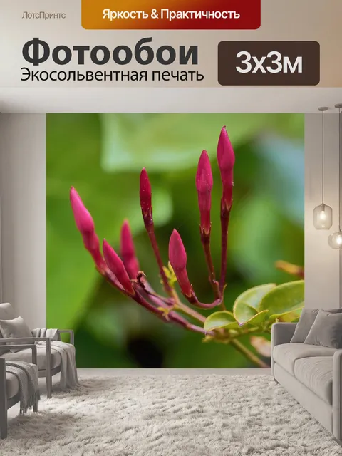 Фотообои Побеги весной