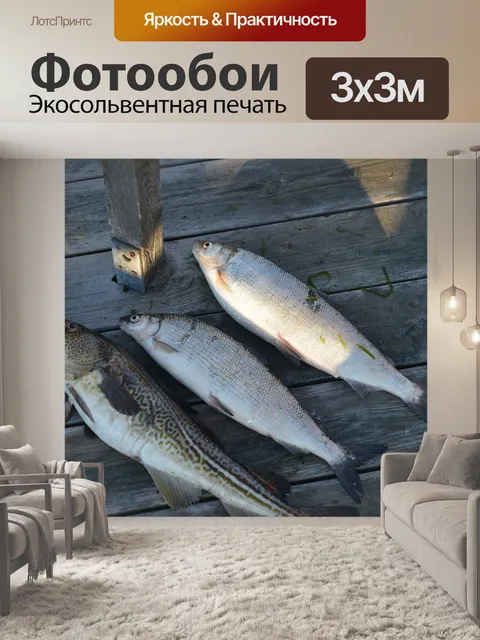 Фотообои Рыбы