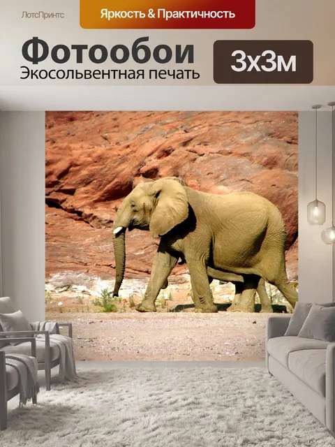 Фотообои Слоны в скалистом ущелье
