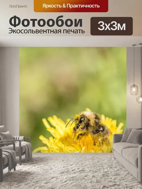 Фотообои Шмель